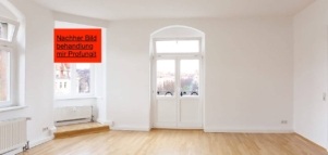 Profungit Schimmelschutzfarbe (Premium Anti Schimmelfarbe 1in2 Lösung) – Bild 7