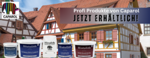 Histolith Sanopas Holzrisspaste (Leinölgebundene Holzrisspaste) – Bild 3