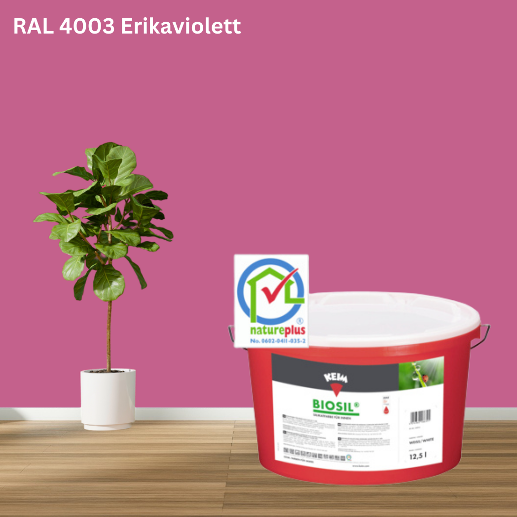 Keim Biosil Wandfarbe RAL 4003 Erikaviolett Keim Biosil Wandfarbe RAL 4003 Erikaviolett